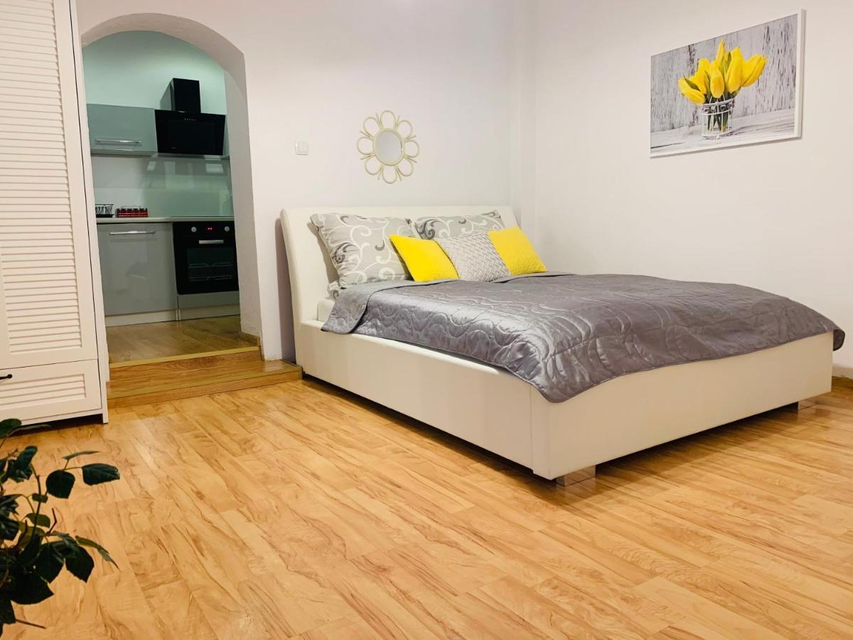 Apartament Rodzinny Z Ogrodem تشيشين المظهر الخارجي الصورة