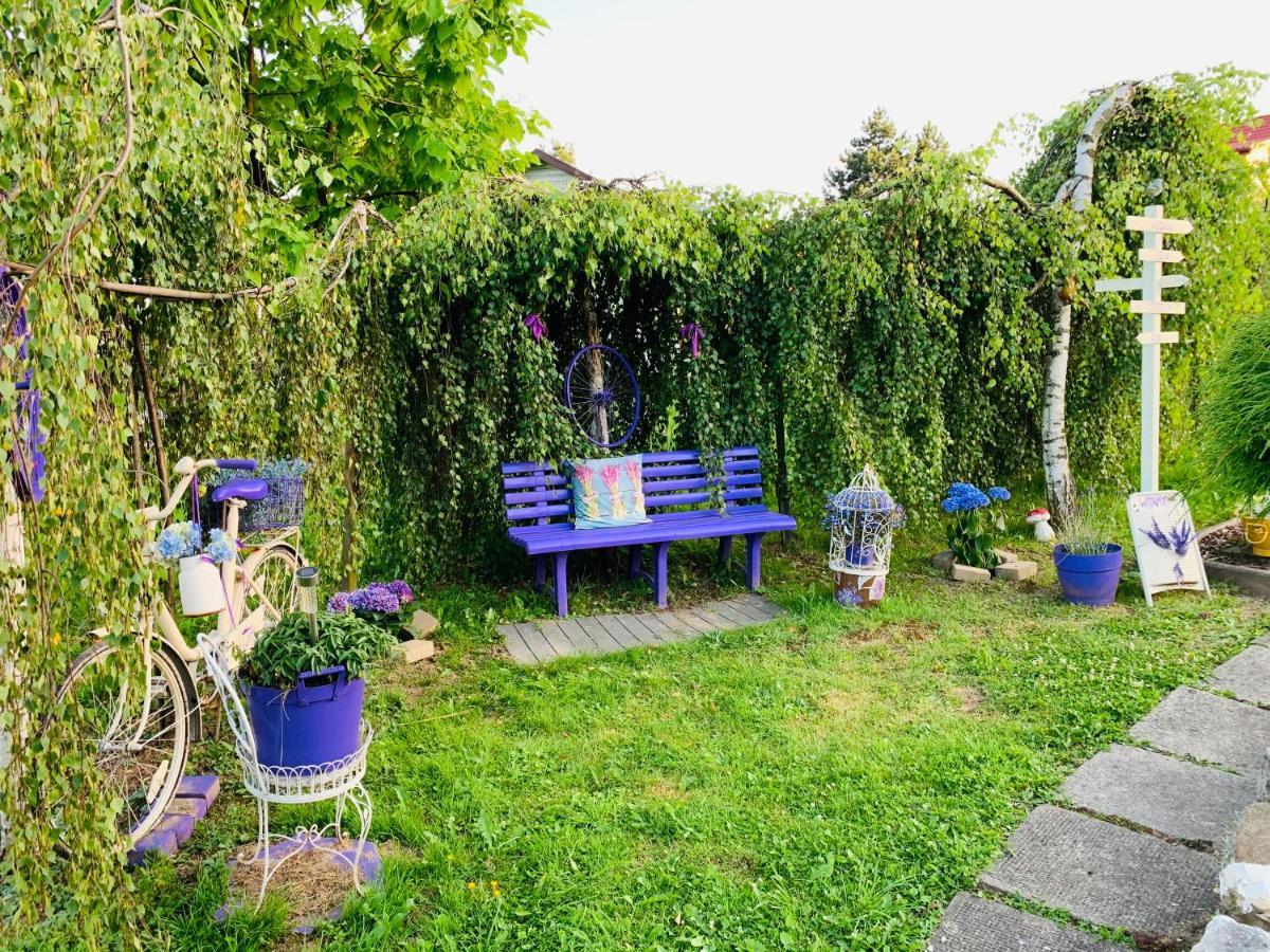 Apartament Rodzinny Z Ogrodem تشيشين المظهر الخارجي الصورة